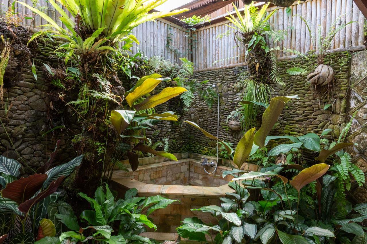 Bali Firefly Bnb Ubud Zewnętrze zdjęcie
