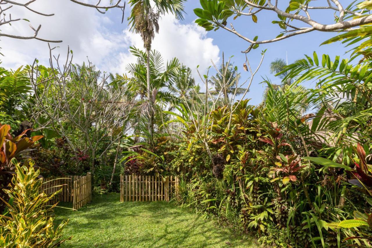 Bali Firefly Bnb Ubud Zewnętrze zdjęcie