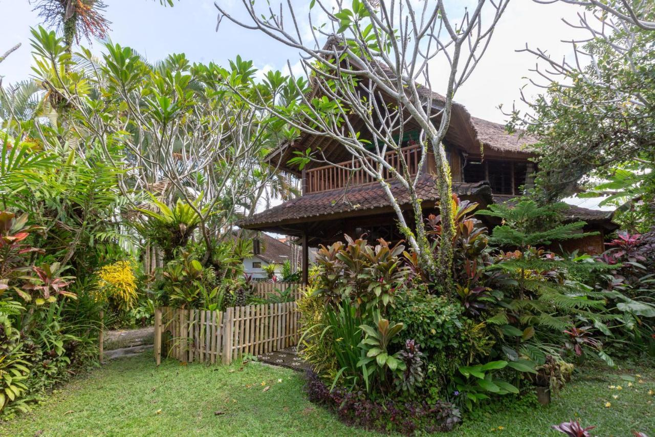Bali Firefly Bnb Ubud Zewnętrze zdjęcie
