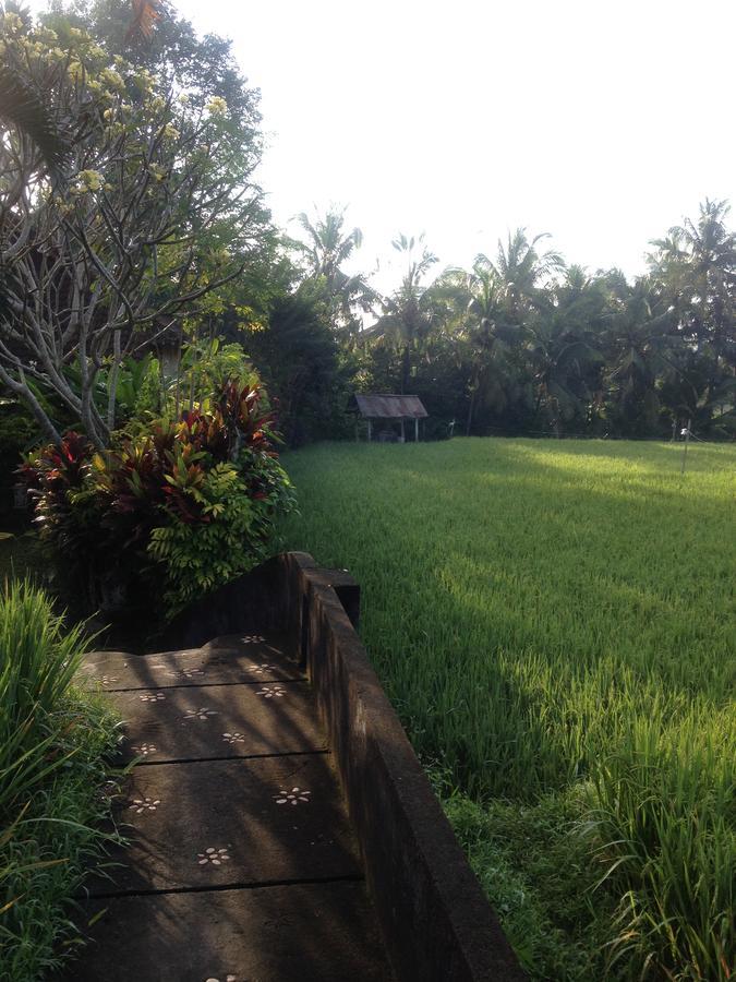 Bali Firefly Bnb Ubud Zewnętrze zdjęcie