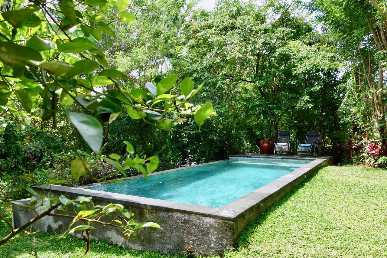 Bali Firefly Bnb Ubud Zewnętrze zdjęcie