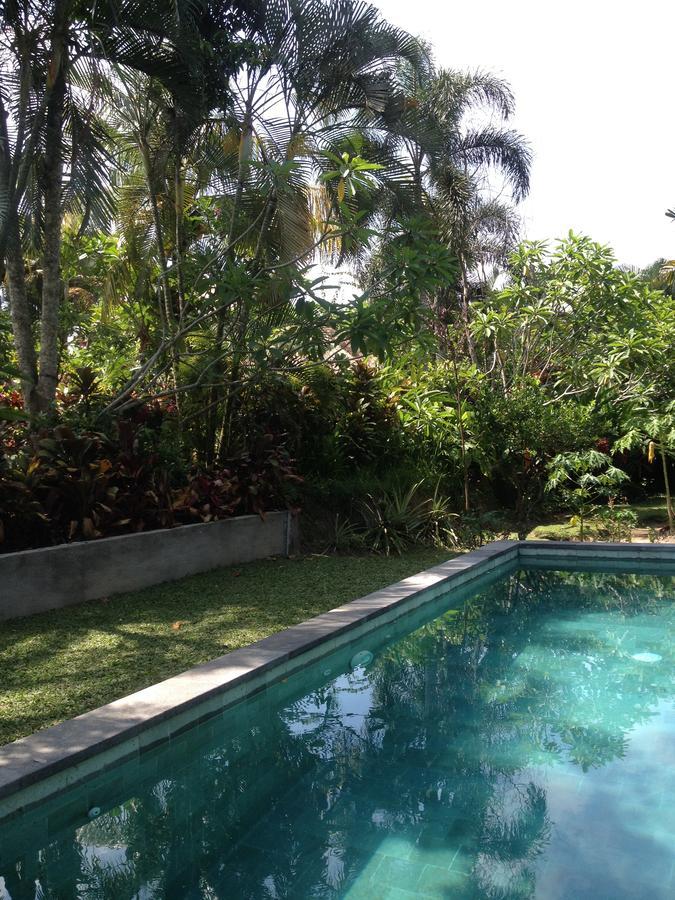 Bali Firefly Bnb Ubud Zewnętrze zdjęcie
