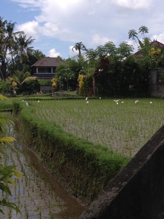 Bali Firefly Bnb Ubud Zewnętrze zdjęcie